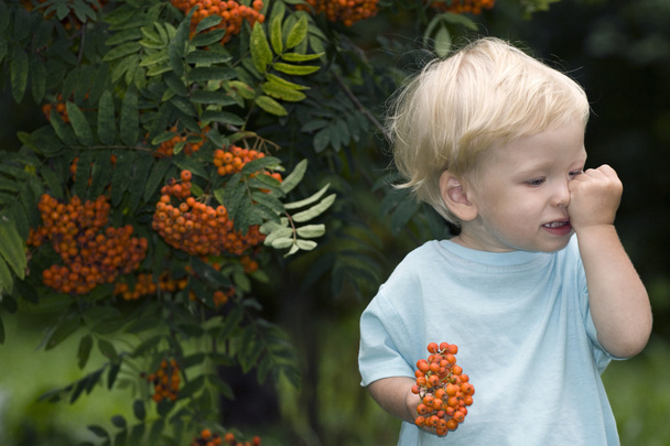 Ребенок с ягодами рябины
 - Фото, изображение