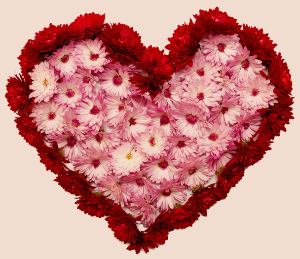 розовое сердце из цветов
 - Фото, изображение
