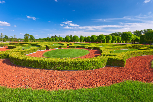 Традиционный французский сад. Дворец Рундале
 - Фото, изображение