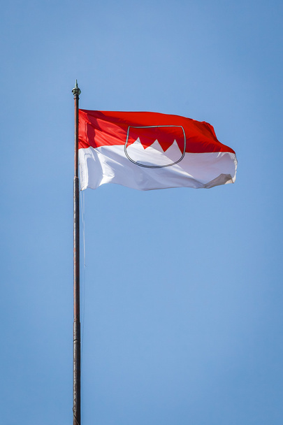 Nuremberg flag - Фото, зображення