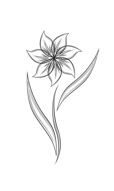 Flower outline.  Isolated vector illustration on white background. - Vector, afbeelding