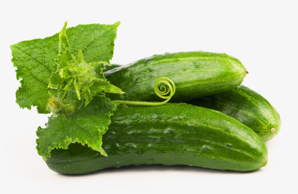 Fresh cucumber with leaves - Фото, изображение