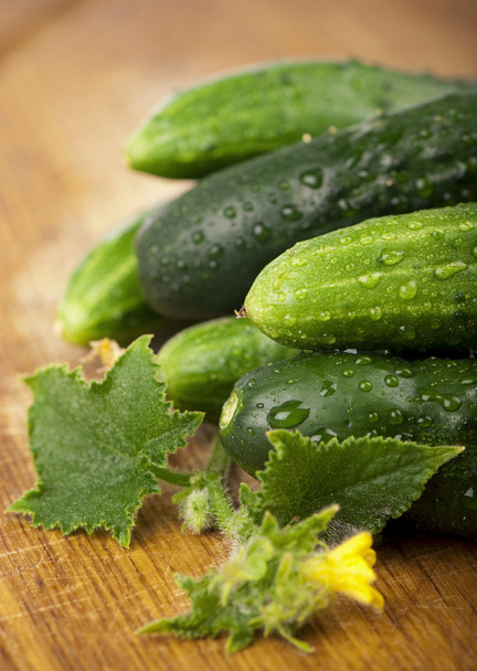 Cucumber - Foto, Imagen