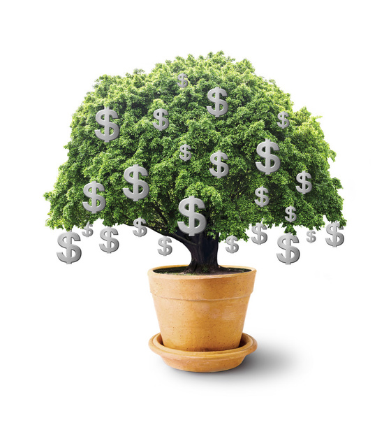 großer Baum im Blumentopf mit Dollarzeichen auf weißem Hintergrund - Foto, Bild