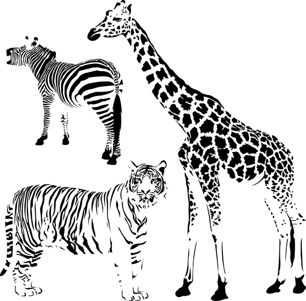 African striped and spotty animals - Vector, Image