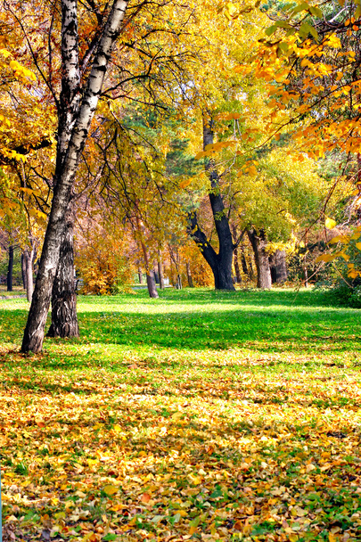 Autumn landscape - Photo, Image