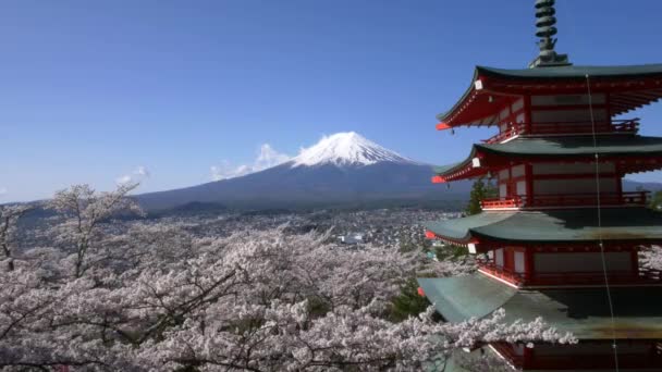 mt. Fuji mit Chureito-Pagode im Frühling, Fujiyoshida, Japan - Filmmaterial, Video