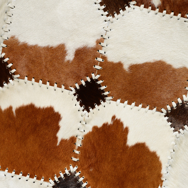 Деталь з коров'ячої шкіри килим
 - Фото, зображення
