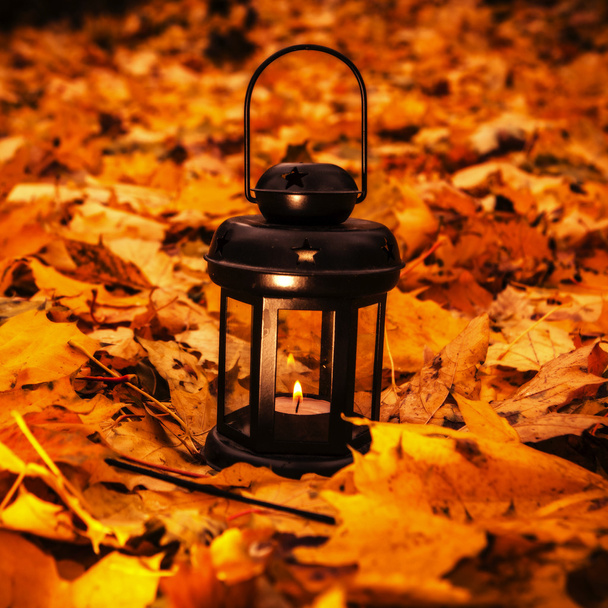 Lucerna v jasných podzimní leafes - Fotografie, Obrázek
