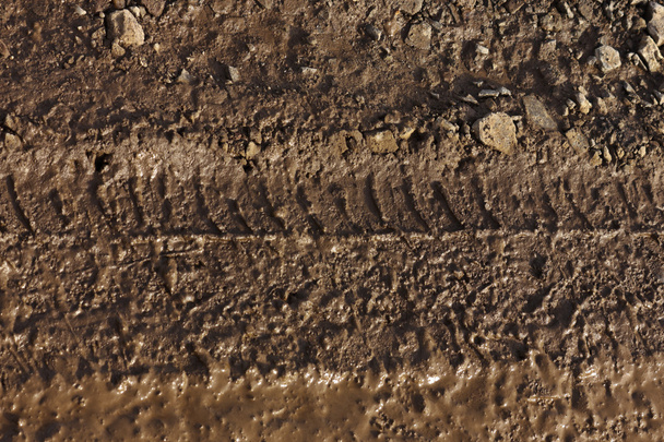 záběr pneumatik dezén v hnědé bahno - Fotografie, Obrázek