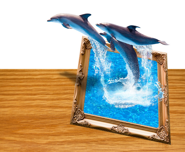 Moldura de foto mágica com três golfinhos salto
 - Foto, Imagem