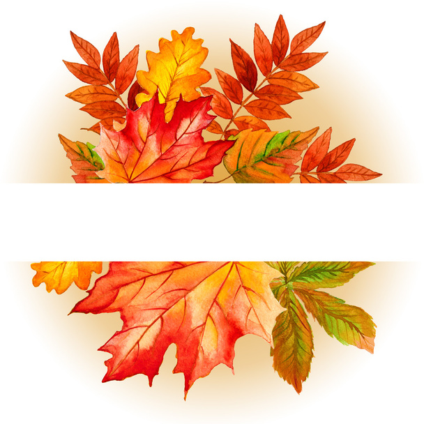 Collezione belle foglie colorate autunno isolato su sfondo bianco
 - Foto, immagini