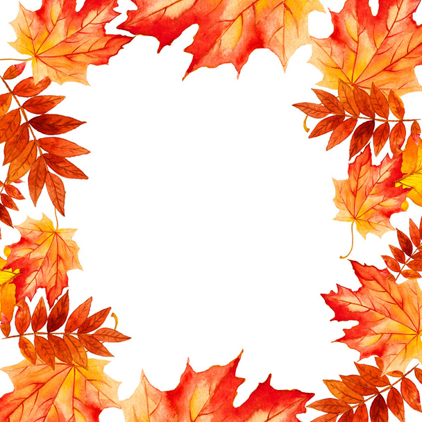 collection beautiful colorful autumn leaves isolated on white background - Photo, Image