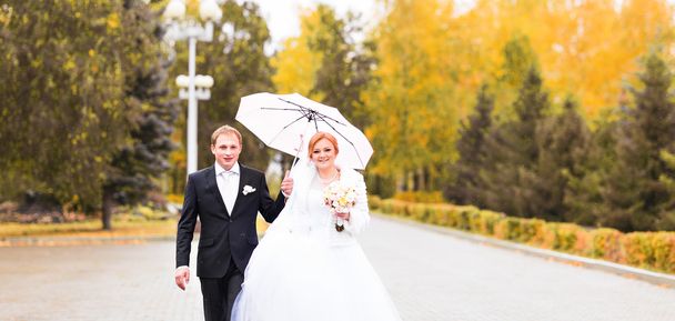 boda de otoño en el parque, novia y novio
 - Foto, Imagen