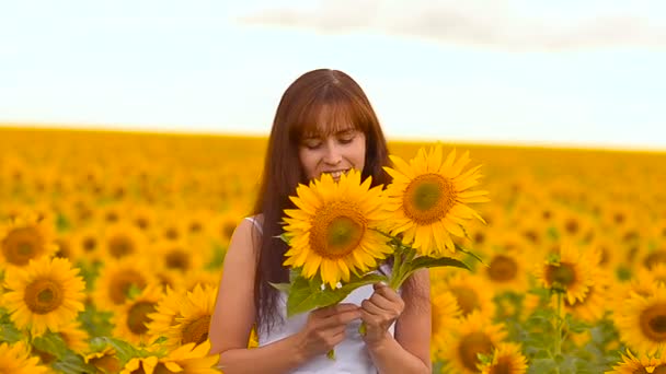 Girl in sunflowers - Footage, Video