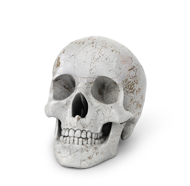 Ludzka czaszka na na białym tle. ilustracja 3D - Zdjęcie, obraz