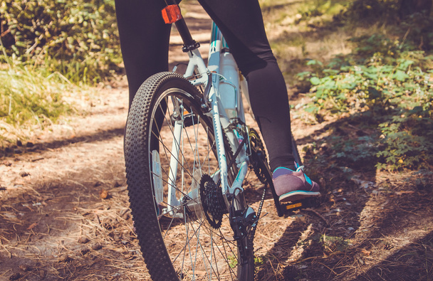 Kobieta, jazda na rowerze, w lesie. Wypożyczalnia sprzętu - Zdjęcie, obraz