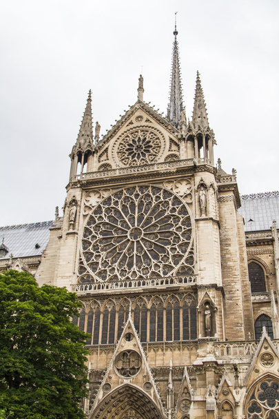 Notre Dame (París)
) - Foto, imagen