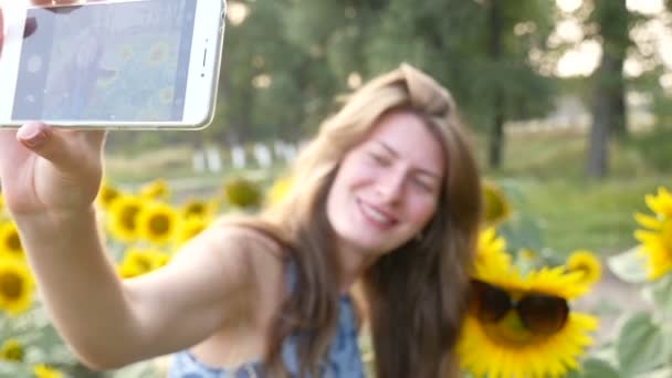 Jonge vrouw doet selfie in de buurt van zonnebloemen. HD - Video