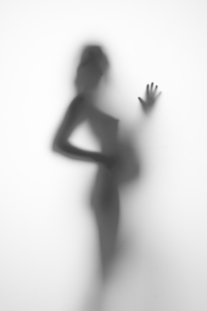 silhouette of a pregnant woman on a light background - Photo, Image