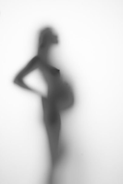 silueta de una mujer embarazada sobre un fondo claro
 - Foto, Imagen