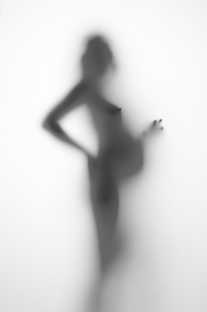 silhouette of a pregnant woman on a light background - Photo, Image
