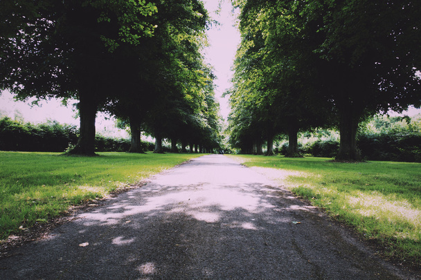 Cesta obklopená stromy po obou stranách Vintage Retro filtru. - Fotografie, Obrázek