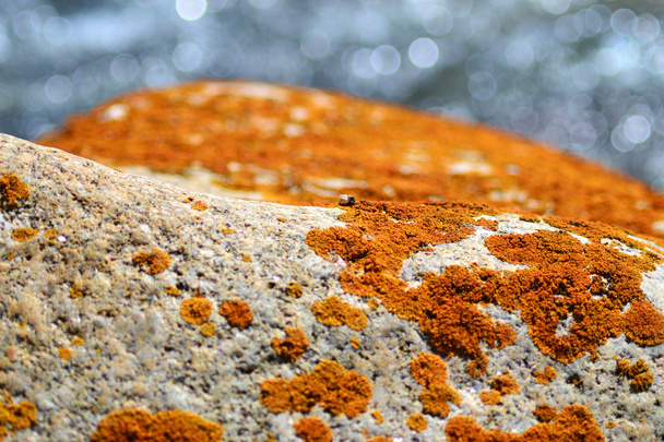 grappige oranje steen - Foto, afbeelding
