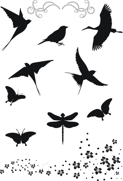 Элементы дизайна птиц
 - Вектор,изображение