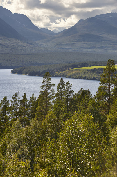 Rondane National Park. Green forest and lake river landscape. No - Photo, Image
