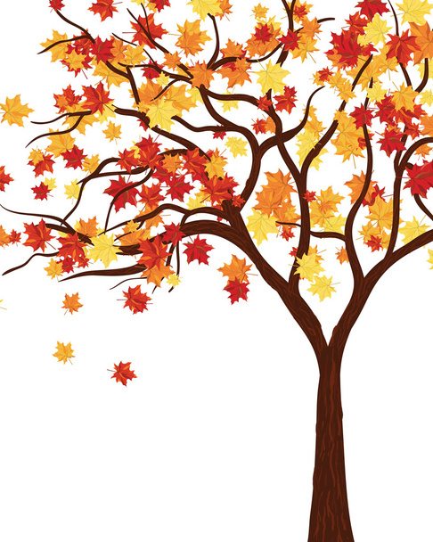 drzewo jesień klon liści - Wektor, obraz
