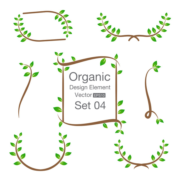 Елемент органічного дизайну ізольовано на фоні Векторна ілюстрація
 - Вектор, зображення
