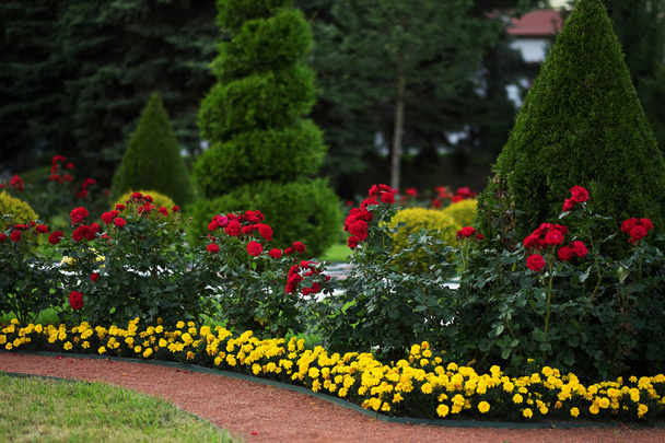 schöne sommerliche Gartengestaltung - Foto, Bild