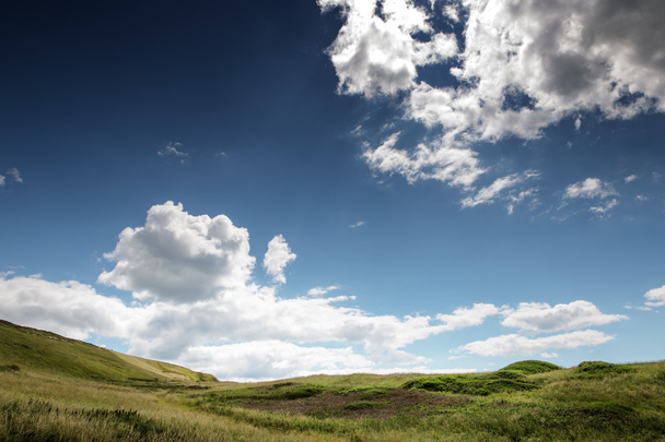 paisaje rural fotografiado en el Reino Unido
 - Foto, imagen