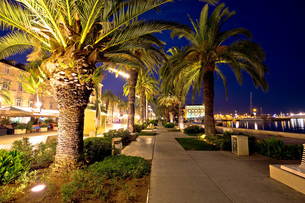Palm waterfront of Split evening view - Photo, Image