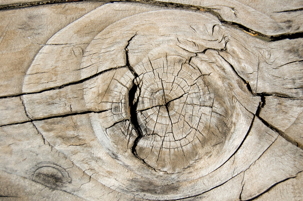 Knoestige houtstructuur - Foto, afbeelding
