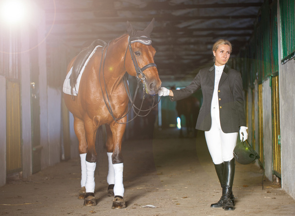 Portret dziewczyny jeździec na jej brązowy koń - Zdjęcie, obraz