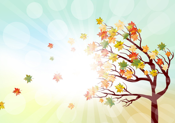 Кленовые листья и солнечные лучи
 - Вектор,изображение