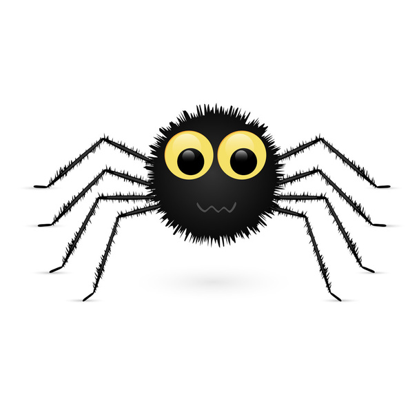 Spider isolated on white background. - Vector, Imagen