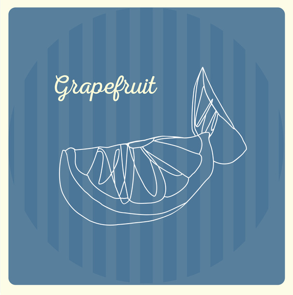 Grapefruit, vector linear illustration.  - Vector, Imagen