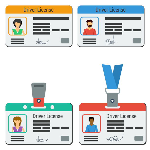Four colored drivers license - Vector, Image