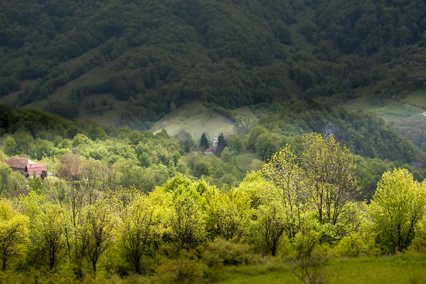 Tavasszal a Kárpát-hegység - Fotó, kép