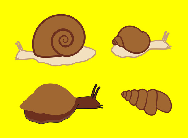 Cartoon Wild Snails  - Vector, Image