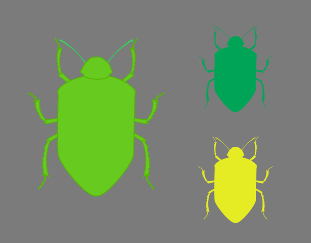 Beetle Insects Shapes - Vector, Image