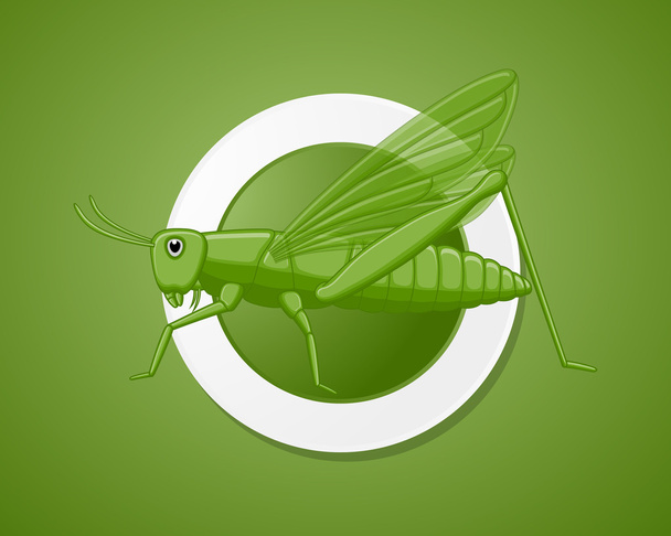 Rovar Grasshopper zöld - Vektor, kép