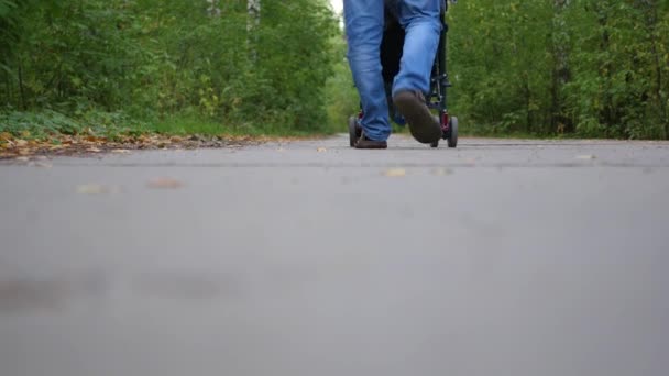 Der Mann fuhr mit einem Kinderwagen in den Park - Filmmaterial, Video