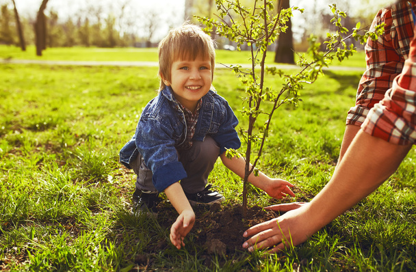 Petit garçon aidant son père à planter l'arbre tout en travaillant ensemble dans le jardin
.  - Photo, image