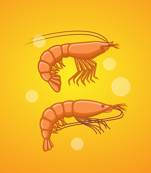 Prawn and Shrimp Fishes - Vector, Image