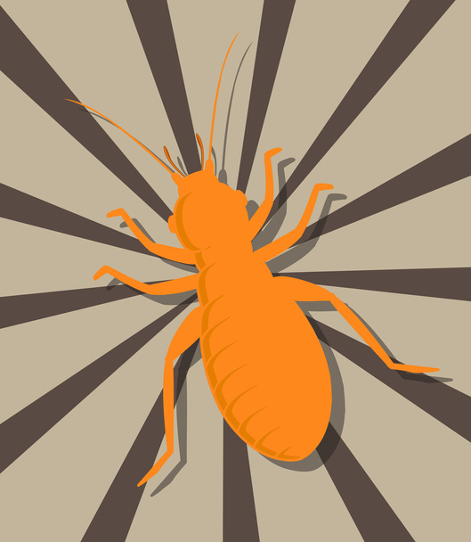 Insektenform - Vektor, Bild