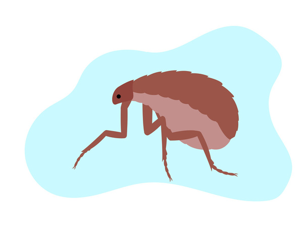 Kreskówka Floh owadów  - Wektor, obraz